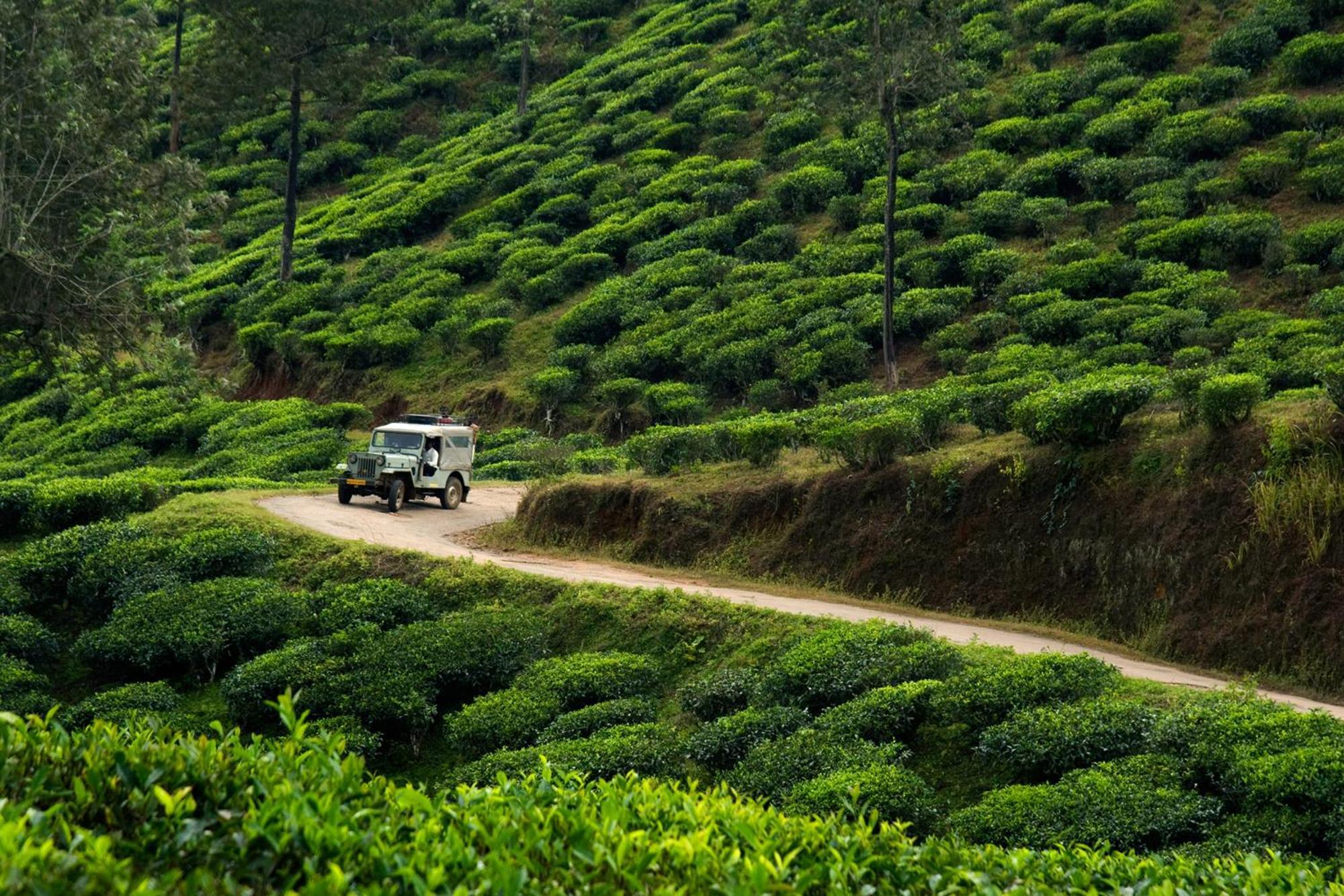 Spicegreen Homestay,Thekkady Zewnętrze zdjęcie