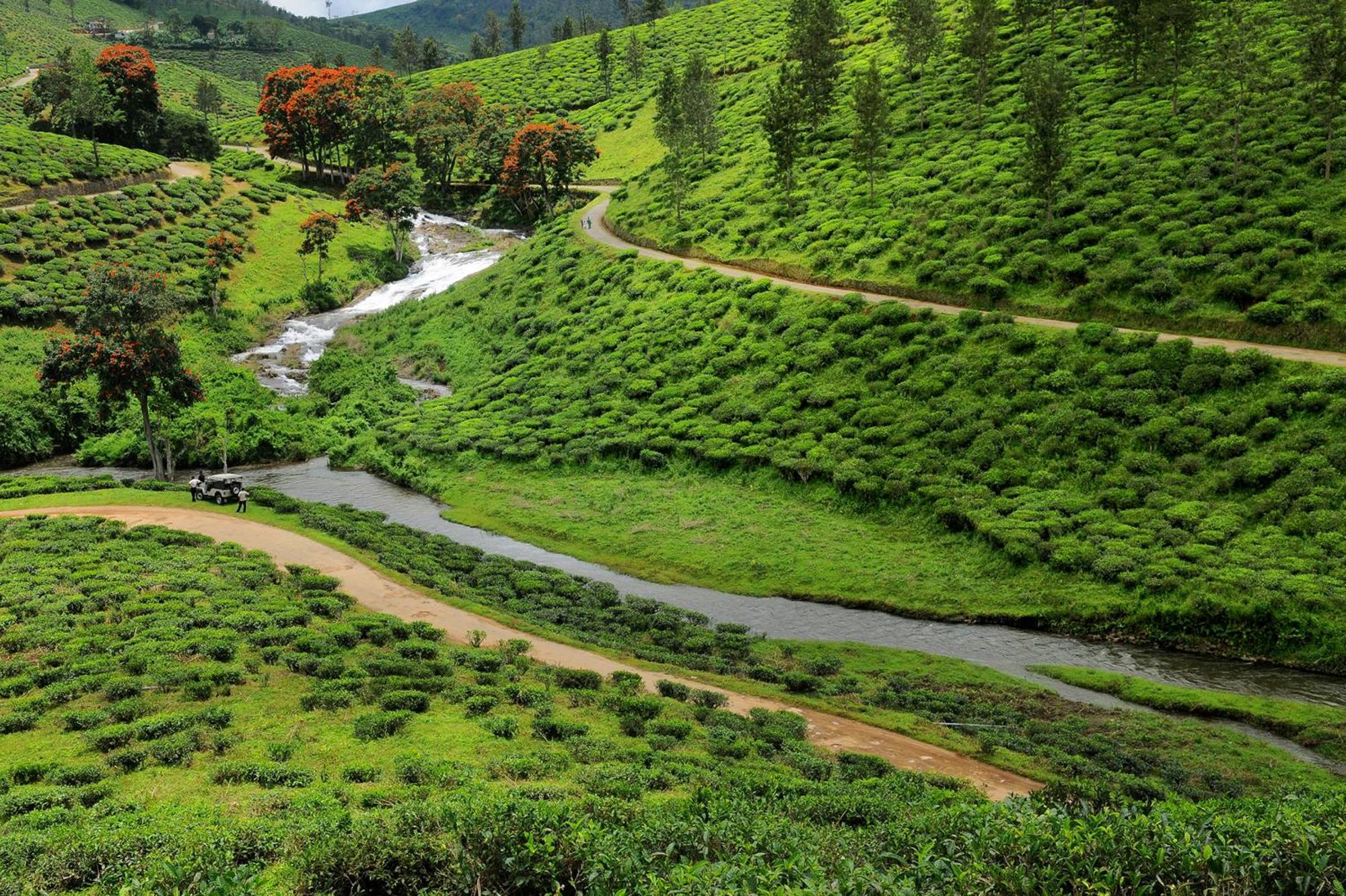 Spicegreen Homestay,Thekkady Zewnętrze zdjęcie