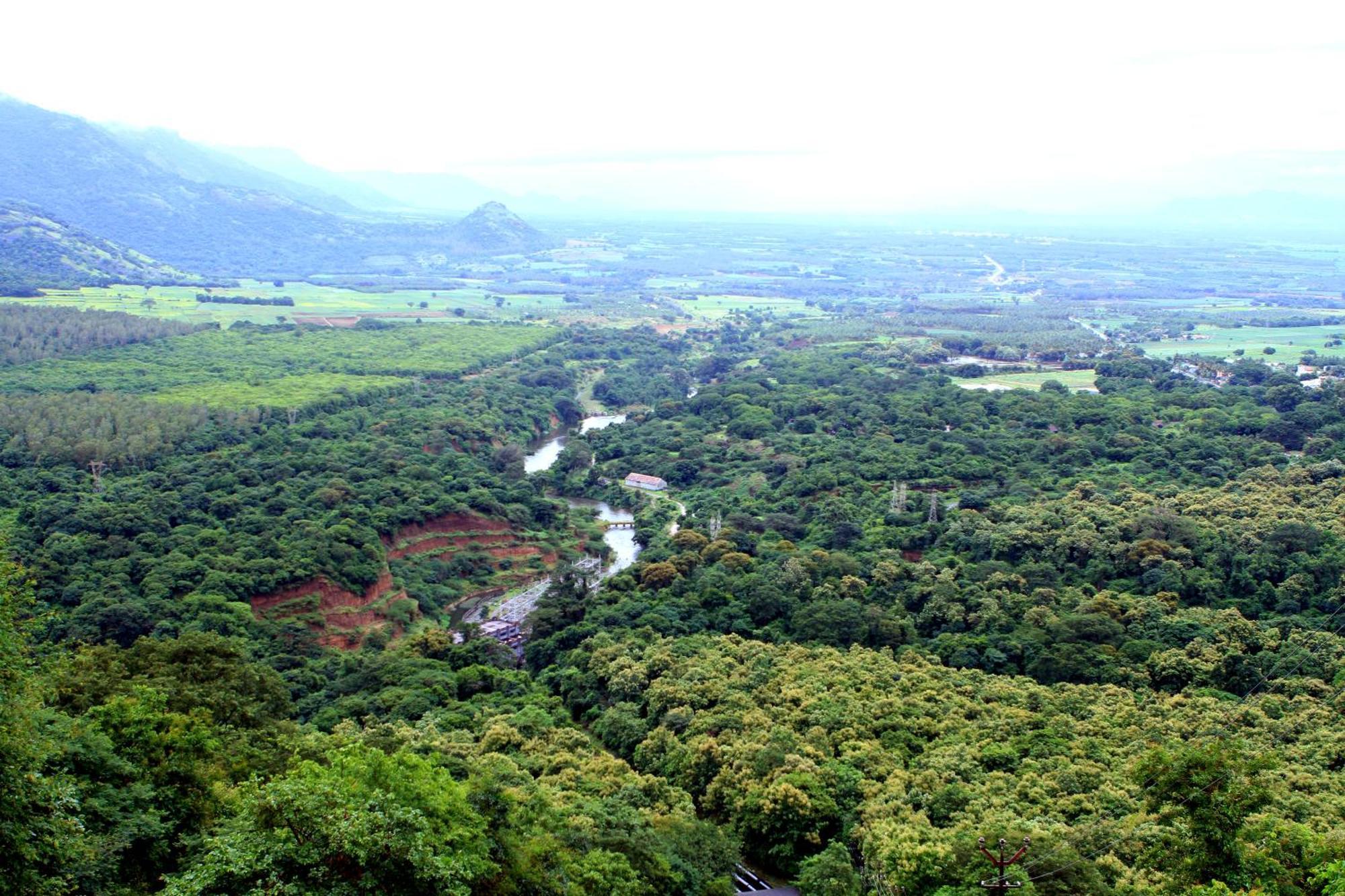 Spicegreen Homestay,Thekkady Zewnętrze zdjęcie