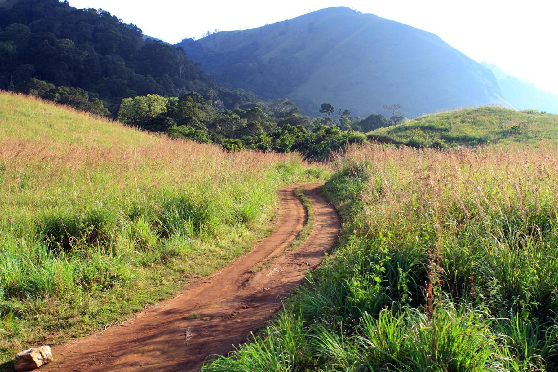 Spicegreen Homestay,Thekkady Zewnętrze zdjęcie